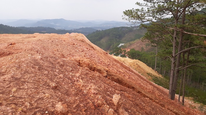 San ủi, hủy hoại đất quy mô lớn ở Lâm Đồng -0