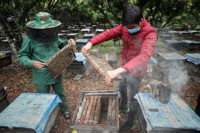 ttxvn_mat_ong_4.jpeg -3