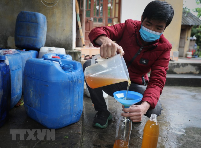 ttxvn_mat_ong_6.jpeg -5