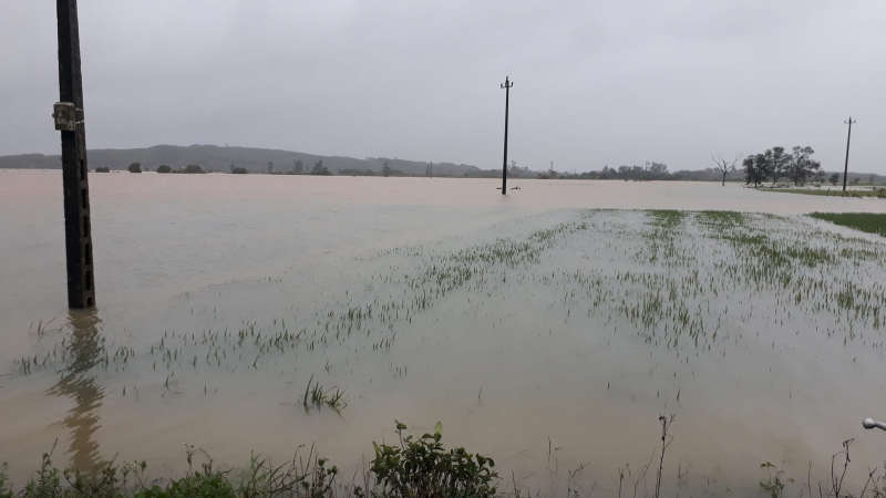 Lũ trái mùa nhấn chìm hàng nghìn héc ta lúa, hoa màu ở Thừa Thiên-Huế  -0