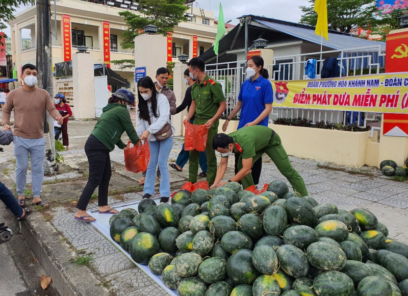 Người Đà Nẵng chung tay giải cứu hàng trăm tấn dưa hấu giúp nông dân Quảng Nam “chạy ngập”  -3