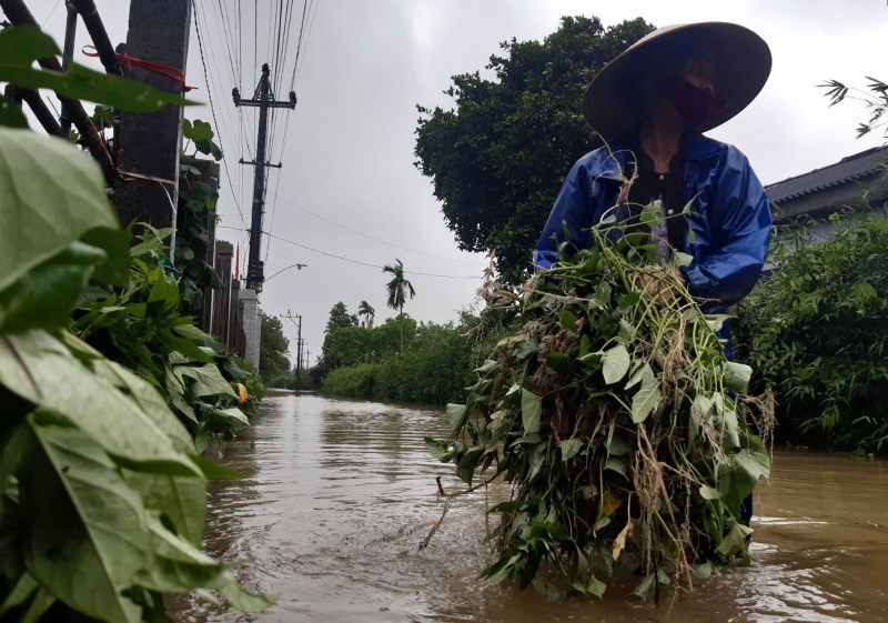 Thừa Thiên-Huế thiệt hại gần 1.000 tỷ đồng do mưa lũ trái mùa -0