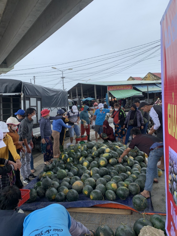 Người Đà Nẵng chung tay giải cứu hàng trăm tấn dưa hấu giúp nông dân Quảng Nam “chạy ngập”  -0