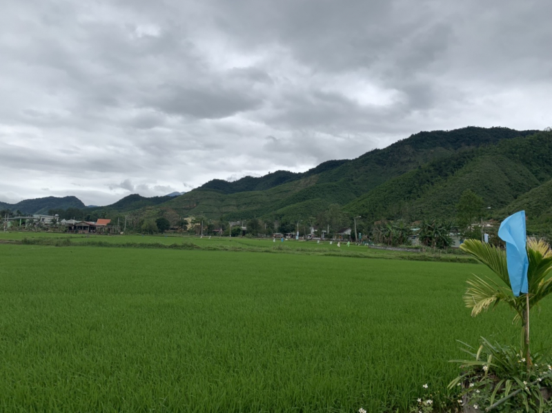 Dân đổ xô làm thủ tục giấy tờ đất đai ở Hòa Vang, Đà Nẵng vì tin đồn “sốt đất vùng ven” -0