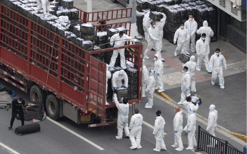 Nguyên nhân thực sự khiến số ca COVID-19 không triệu chứng tại Thượng Hải tăng chóng mặt -0