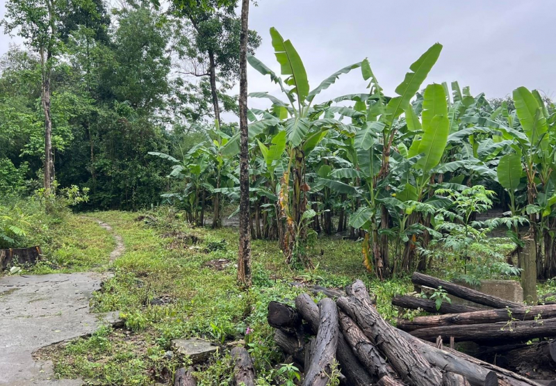 Sai sót soạn thảo văn bản, một lô đất ở Huế đội giá cao hơn 10 lần -0