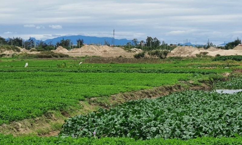 Đà Nẵng: Cảnh báo “sốt đất ảo”, tạo điểm nóng ở vùng ven để trục lợi  -0