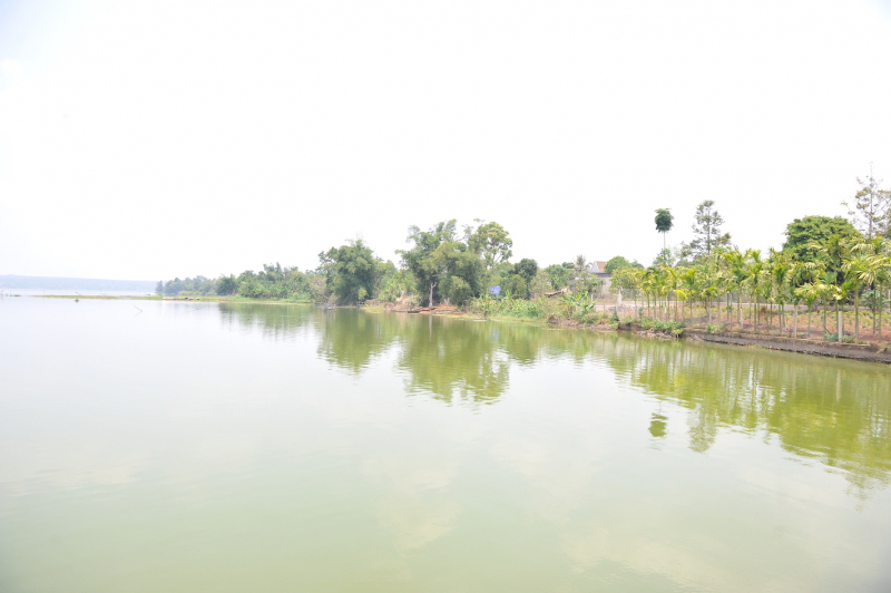 Dùng bình kích điện đi bắt cá bị điện giật tử vong -0