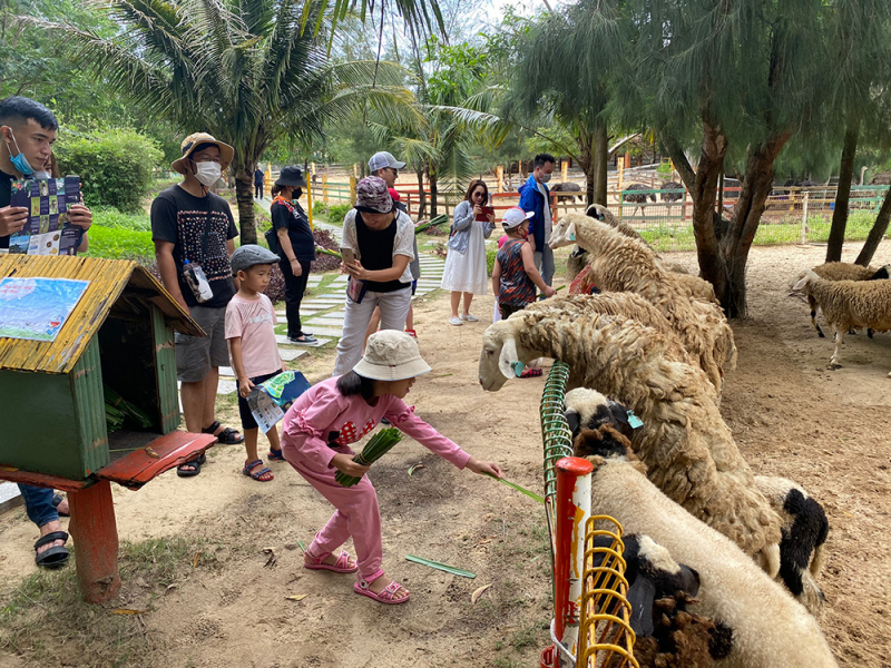 Nghỉ dưỡng đa trải nghiệm “hút” khách du lịch -0