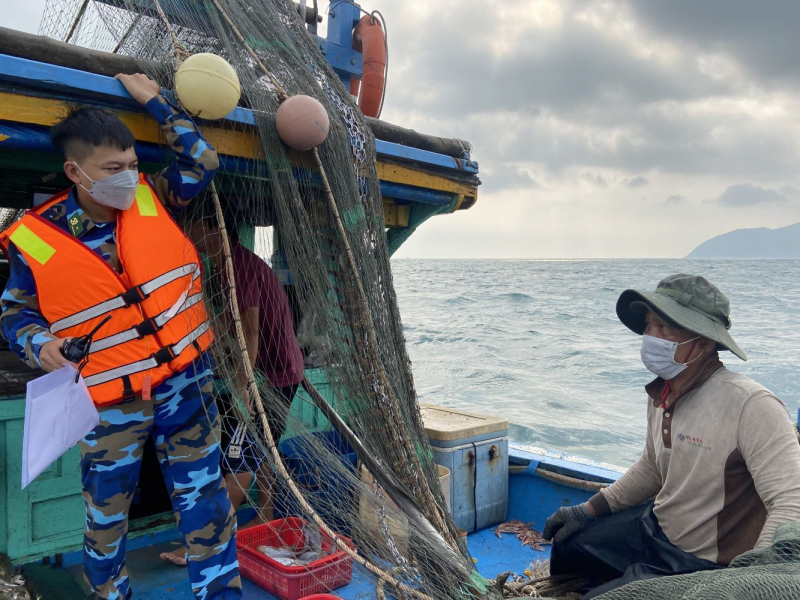 Bắt quả tang tàu giã cào hoạt động trái phép trên vùng biển Thừa Thiên-Huế -0