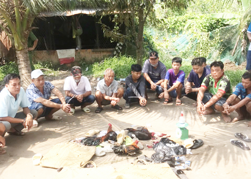 Bắt quả tang 14 đối tượng đá gà, tạm giữ trên 55 triệu đồng -0