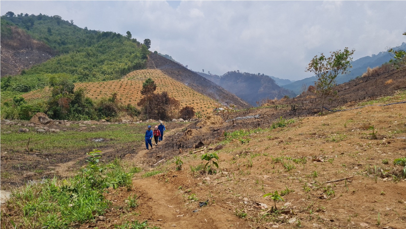 Đắk Lắk phát hiện thêm một vụ phá rừng với quy mô lớn -0