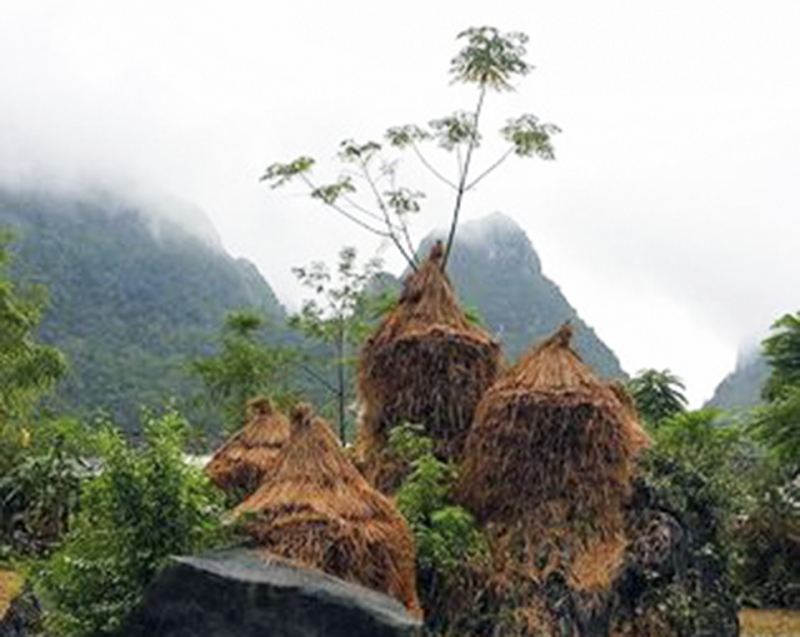 12278735_538417732977922_7179536845027111275_n.jpg -0