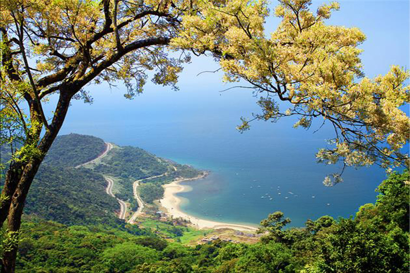 Danang promotes tourism on Son Tra Peninsula in post COVID-19 -0