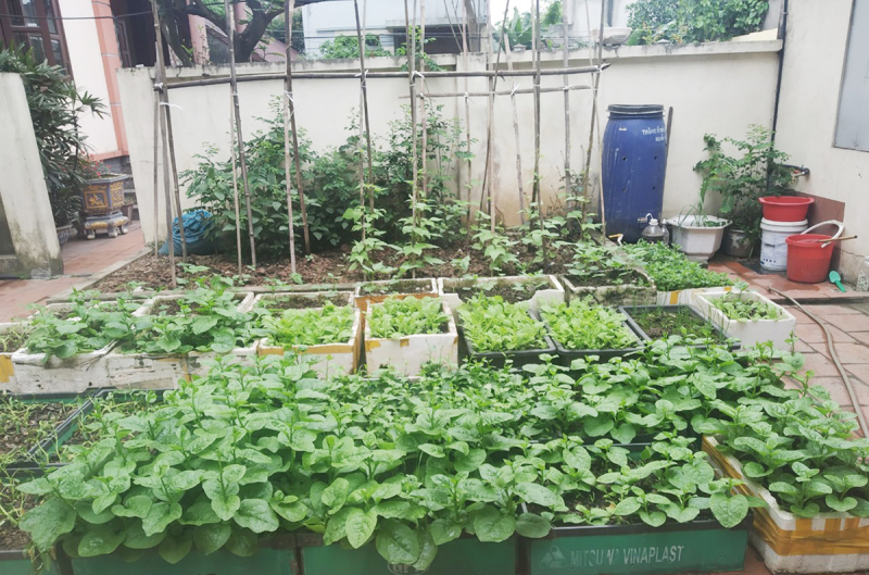 Những người đi “ăn