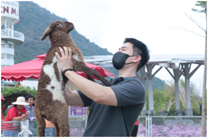 Mở cửa tham quan Nhà máy Điện mặt trời đẹp nhất Việt Nam -0