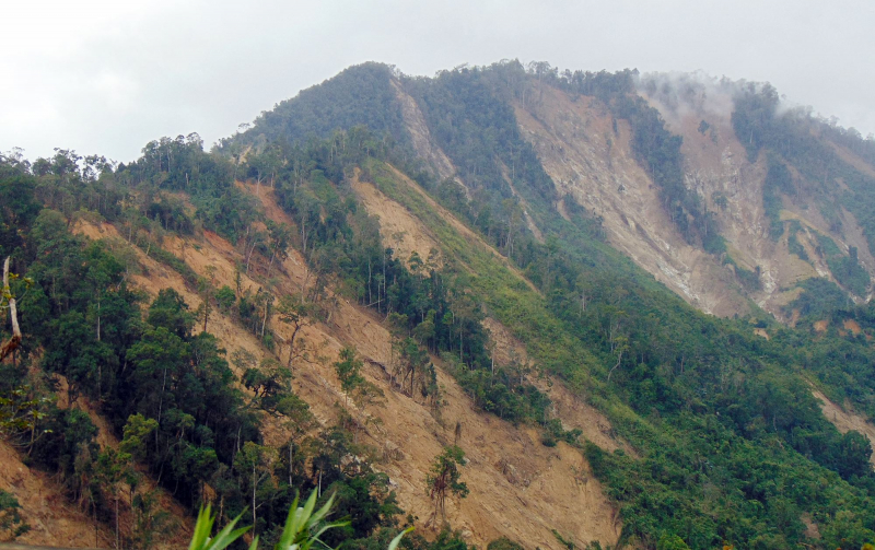 Sở NN&PTNT Quảng Nam nói gì về việc giảm hơn 2.850ha rừng tự nhiên? -0