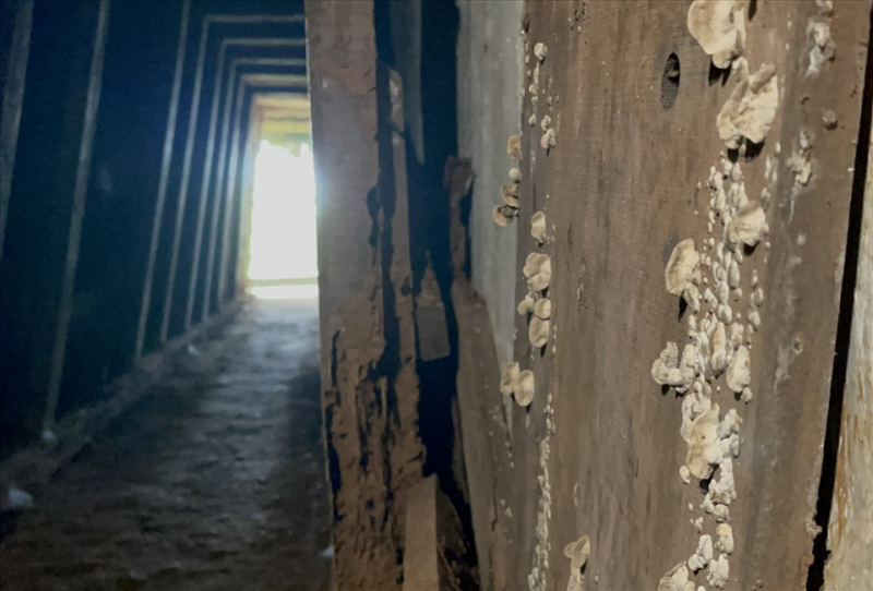 Cần sớm sửa chữa Di tích địa đạo Vịnh Mốc -0