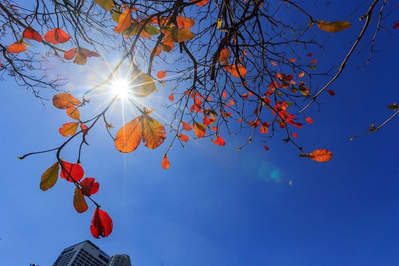 Hà Nội không mưa, Tây Nguyên và Nam Bộ mưa giông giảm dần -0