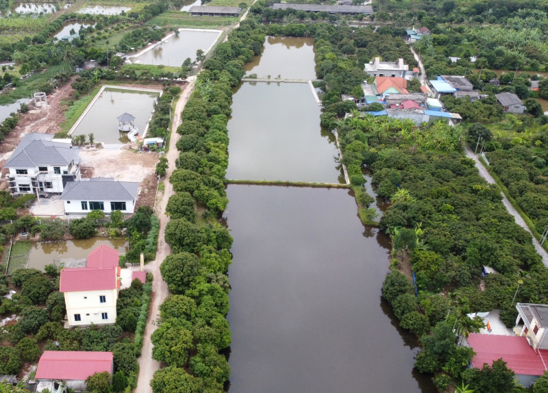 Điều tra hàng loạt biệt thự xây dựng trái phép trên đất nông trường -0