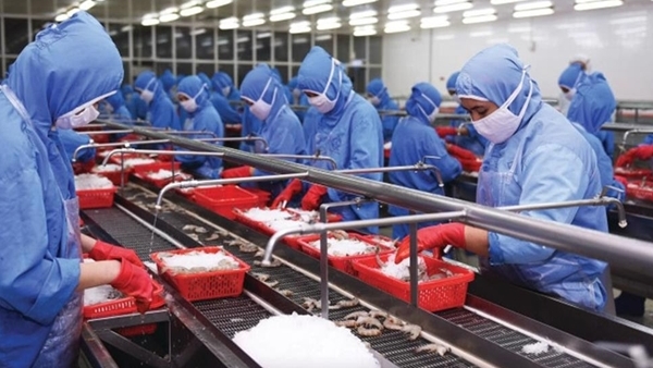 VASEP: Aquatic exports likely to reach record high -0