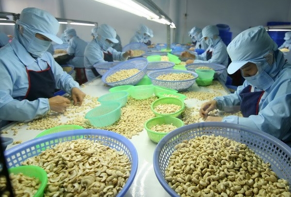 Thích ứng nhanh với nhà mua hàng quốc tế, giúp khơi thông xuất khẩu -0