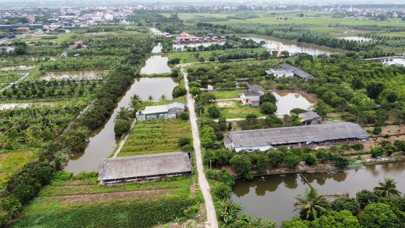 Xác định có gần 70 công trình xây dựng trái phép trên đất nông trường -0