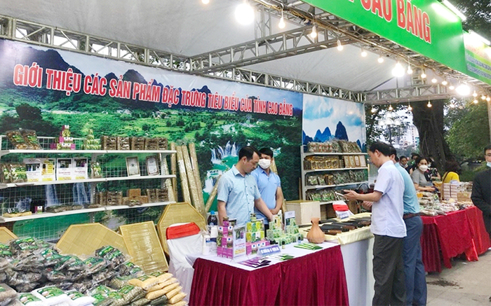 Để sản phẩm vùng miền tìm đến người dùng -0