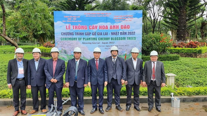 Tiếp nhận, trồng Hoa anh đào Nhật Bản tại trung tâm TP Pleiku -0