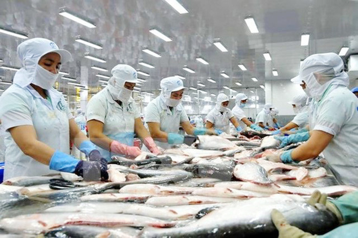 More pangasius processors of Vietnam eligible to export to US -0