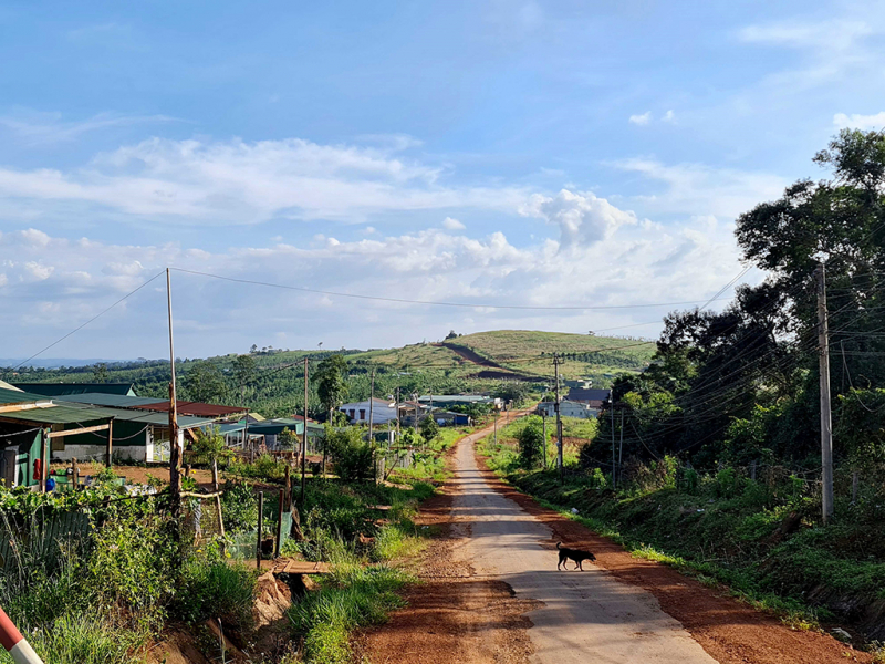 Nhà đầu tư thuê đất rồi bỏ hoang, để mặc dân lấn chiếm -0