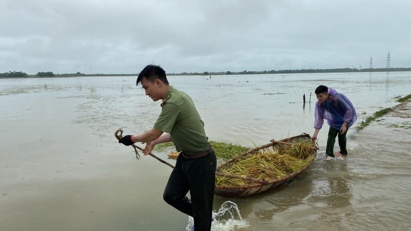 Giúp dân gặt lúa sau đợt mưa lớn kéo dài -0