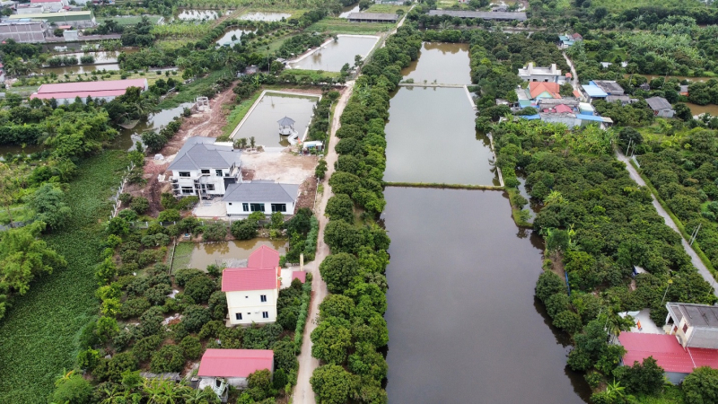 Yêu cầu xử lý nghiêm vi phạm về đất đai tại nông trường Quý Cao -0