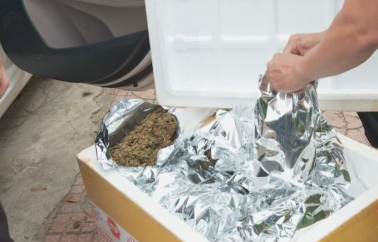 Bắt tài xế taxi vận chuyển 3kg cần sa khô được nguỵ trang trong gói trà -0