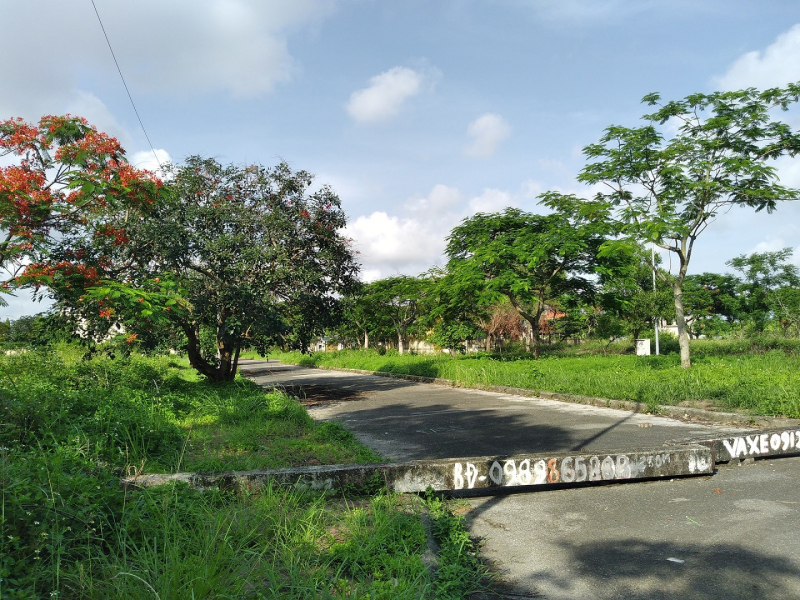 Hải Phòng: Lãng phí đất đai ở khu vực kỳ vọng là 