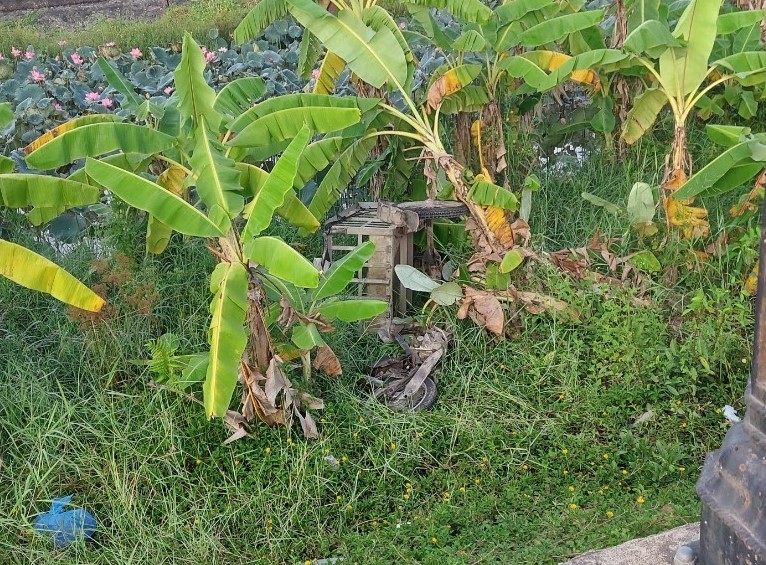 Người đàn ông điều khiển xe mô tô tử vong dưới bánh xe tải ben  -0