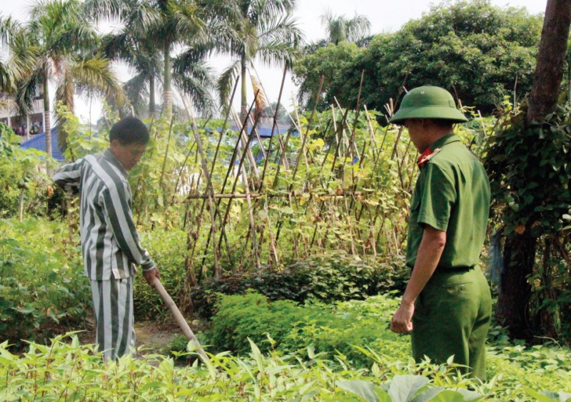 35_ Bắt hay không bắt? -1