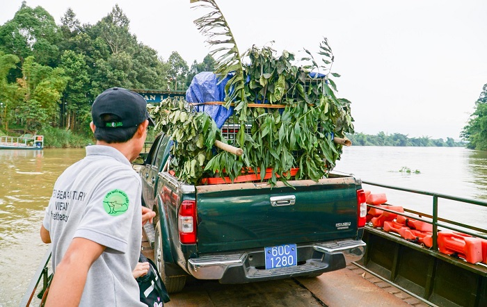 Giải cứu cá thể gấu đưa về Vườn Quốc gia Cát Tiên -0