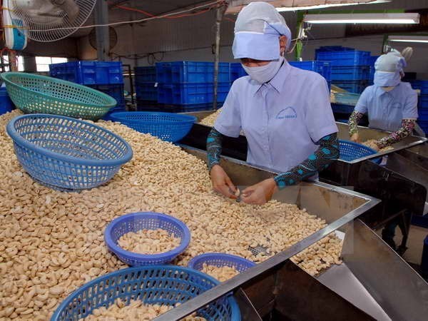 Cập nhật về việc giành lại 100 container hạt điều mất kiểm soát tại Italia -0