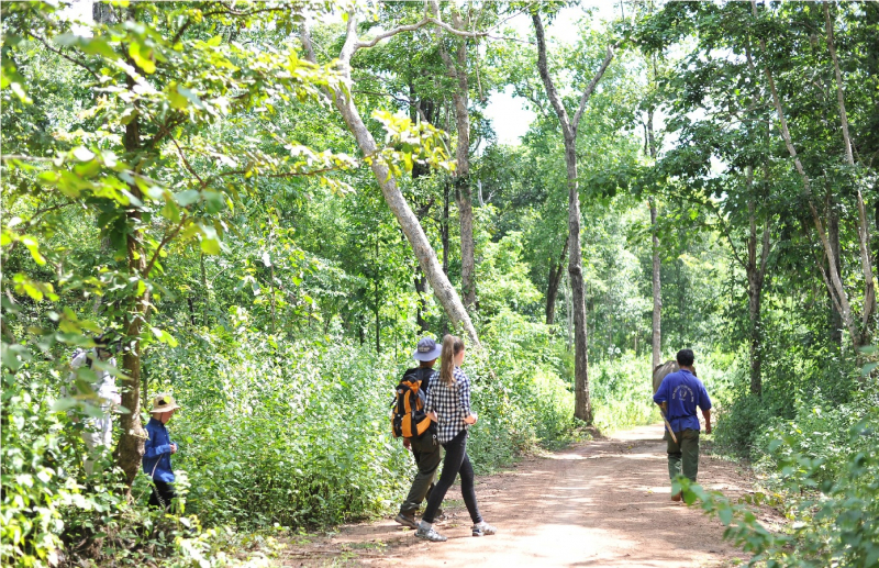 Đổ máu bảo vệ khu rừng khộp “độc nhất vô nhị” ở Việt Nam -0