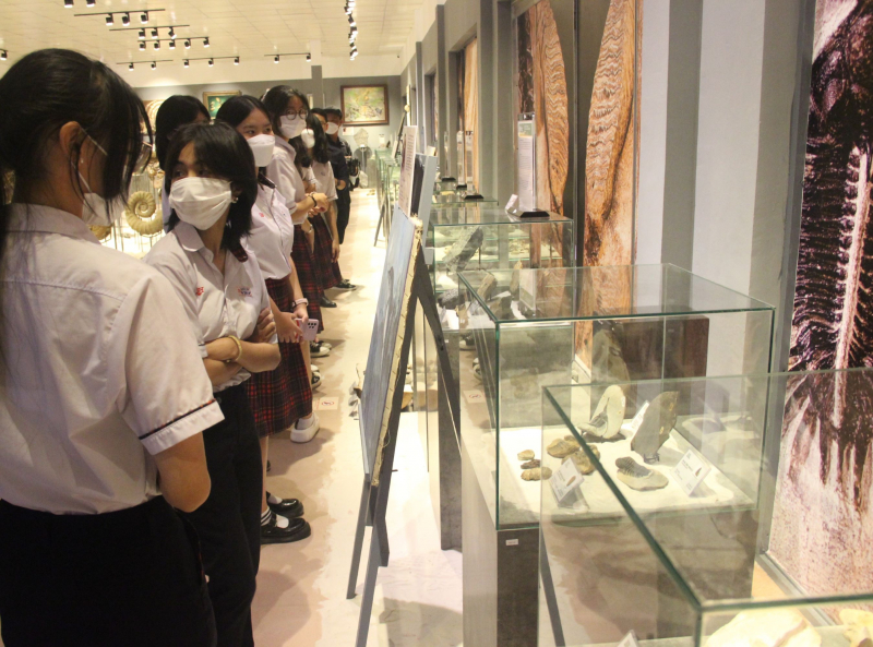 Lần đầu tiên tổ chức triển lãm Hóa thạch tại Festival Huế -0