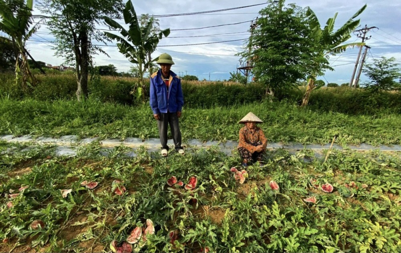 Nhóm đối tượng phá hoại vườn dưa hấu của lão nông khai gì tại Cơ quan điều tra -0