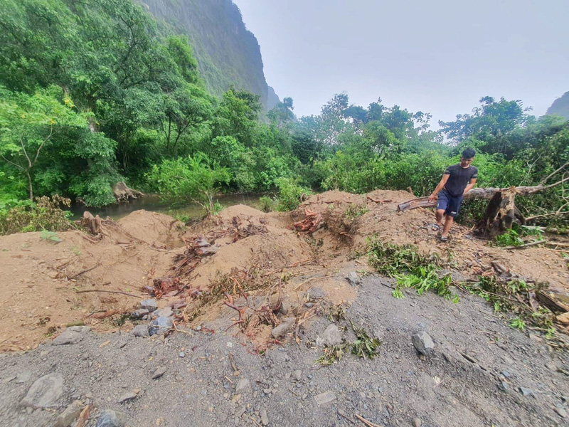 Vụ khai thác, vận chuyển 2 “cây khủng” bị phạt 750 ngàn đồng  -0