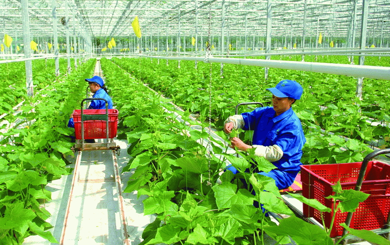 Nhiều hỗ trợ dành cho doanh nghiệp tư nhân kinh doanh bền vững -0