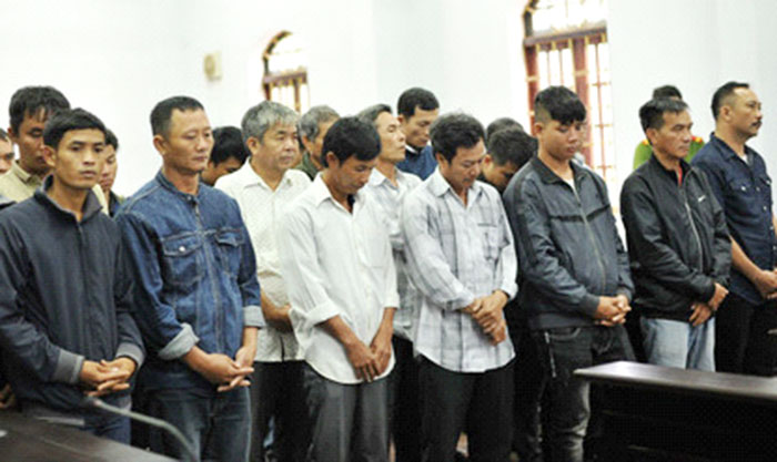 Triệt phá đường dây khai thác gỗ trái phép ở Vườn quốc gia Yok Đôn (kỳ 6) -0