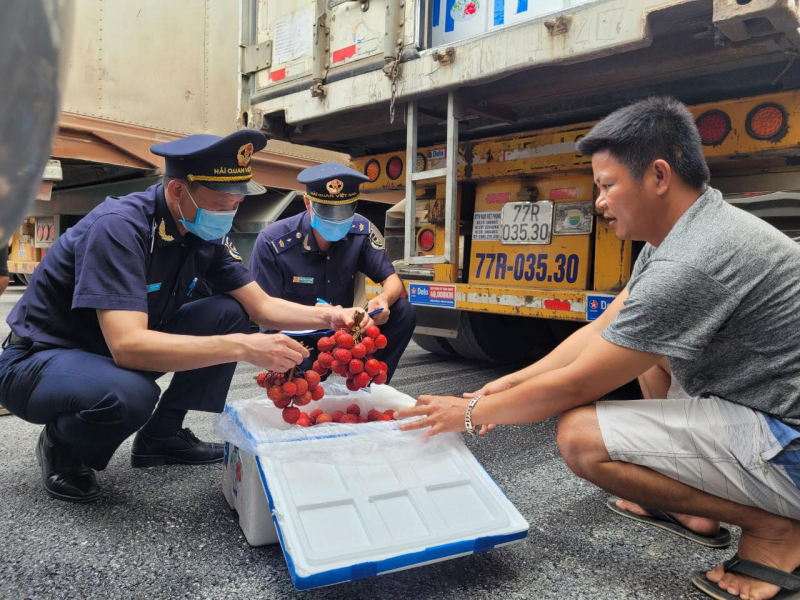 Gần 65 nghìn tấn vải quả tươi xuất khẩu qua cửa khẩu Tân Thanh -0