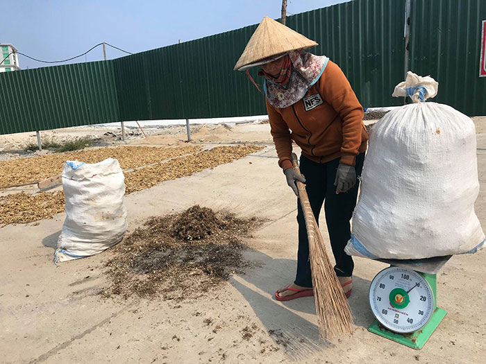 Mùa ăn rong ở xứ đảo -0