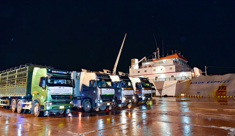 Vinamilk nhập 1.000 con bò sữa HF từ Mỹ về tổ hợp trang trại tại Lào -0