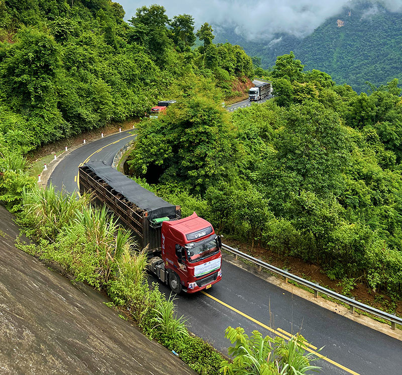 Vinamilk nhập 1.000 con bò sữa HF từ Mỹ về tổ hợp trang trại tại Lào -0