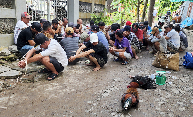  Bắt quả tang 35 đối tượng đá gà ăn tiền trong con hẻm vắng -0